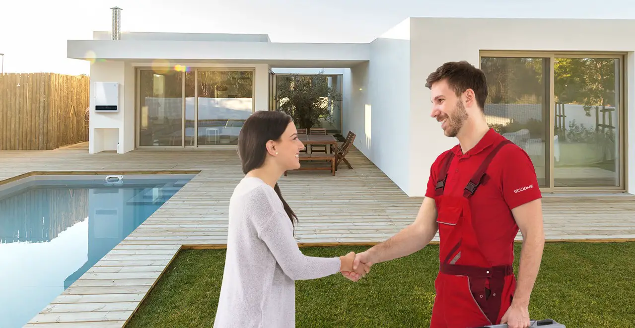 GOODWE I Logged Into the Webinar with A Different - Cover