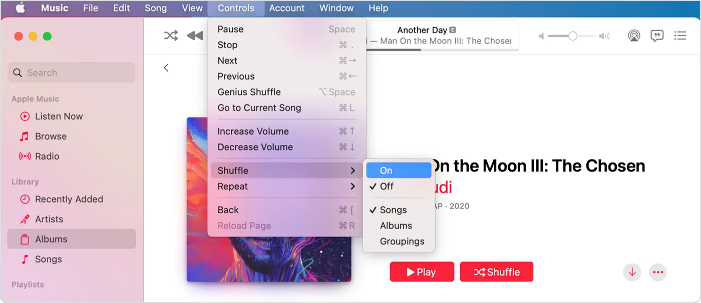 The Controls menu is highlighted and showing Shuffle on for Songs in Library.