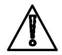 Warning Icon