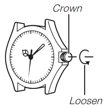 CASIO 5619 Slim Case Watch - Crown