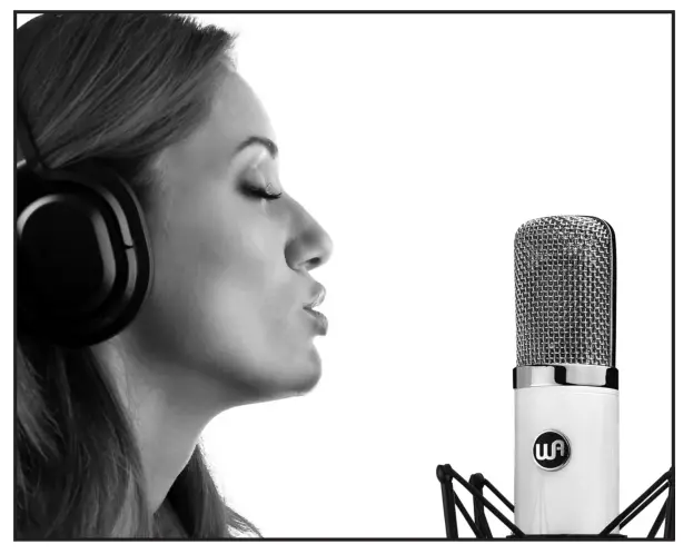 WARM AUDIO WA-251 Tube Condenser Microphone - ILLUSTRATIONS 2