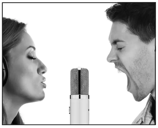 WARM AUDIO WA-251 Tube Condenser Microphone - ILLUSTRATIONS 3