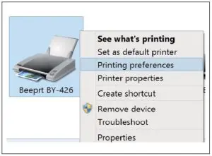 FIG 3 PRINTING SETUP.JPG