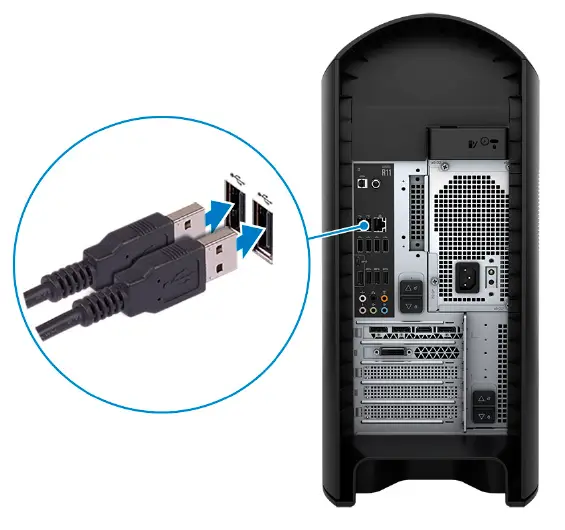 Connect the keyboard and mouse