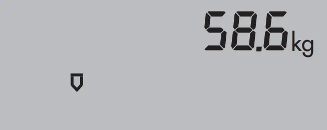 GRUNDIG PS 5111 Multi Function Body Analyser Scales - circle twice