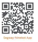 ninebot PS0001 Gokart Pro-fig13