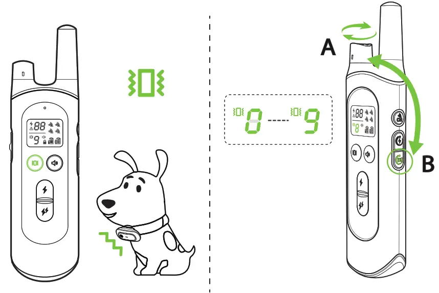 NVK Dog Training Colla- 12