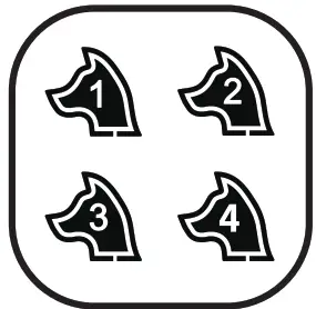 NVK Dog Training Colla- 21