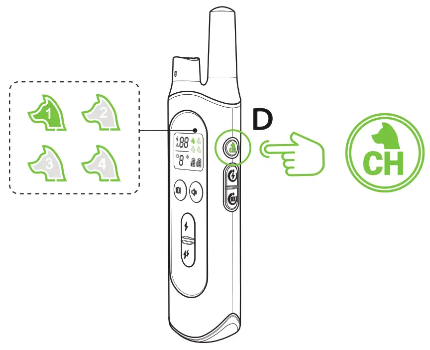 NVK Dog Training Colla- 27