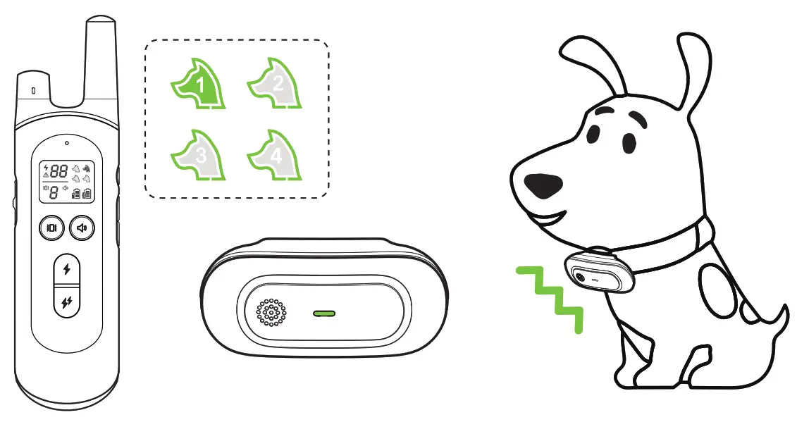 NVK Dog Training Colla- 28