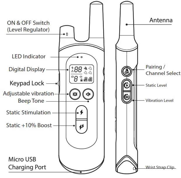 NVK Dog Training Colla- 4
