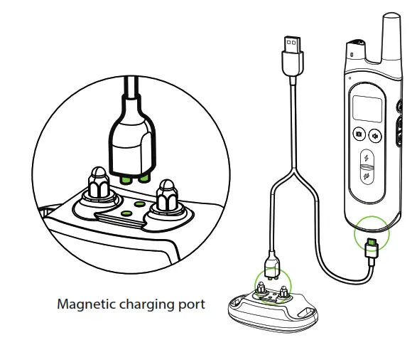 NVK Dog Training Colla- 7