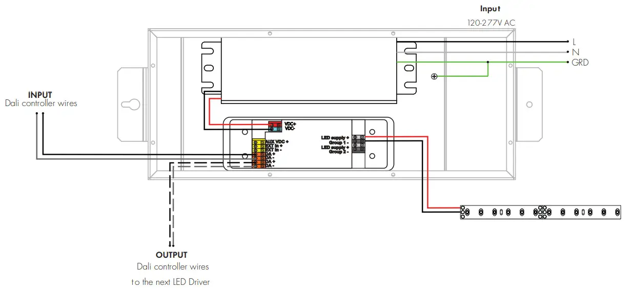 luminii PSDALI DT8-96 24 DALI LED Driver - Dali controller wires