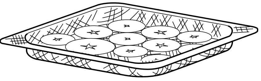 NINJA SP101ANZ Foodi Flip Air Fry Oven - fig 16