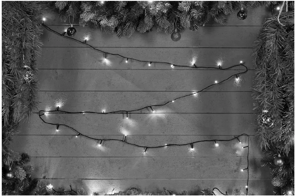 EKVIP 022378 String Lights