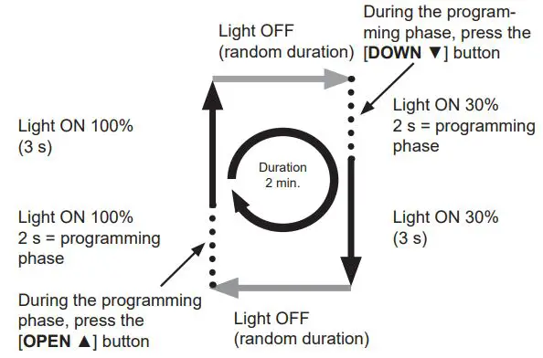 elero Combio-868 LI Built In Radio Receiver for Lighting Systems Instruction Manual - Diagram of programming mode