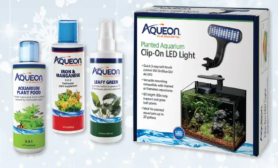 Aqueon-2021-Holiday-Gift-Guide-FIG- (2)