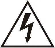 Bestway 56720E - Electrocution Risk