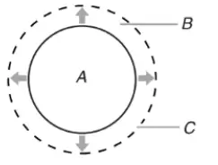 MAYTAG-W11435591A-Freestanding-Electric-Range-fig-6