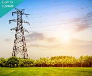 a large green field with trees in the background