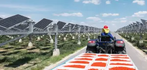 a train is parked on the side of a road