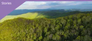 a large mountain in the background