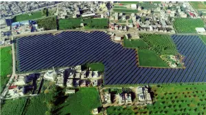 a display in a garden