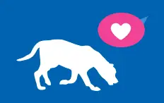 POSITIVE ASSOCIATION