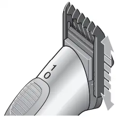 AESCULAP-Exacta-GT416 -Isis-GT421-FIG-7
