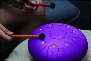 PYLE PSTLDRM78PU Professional Steel Tongue Drum