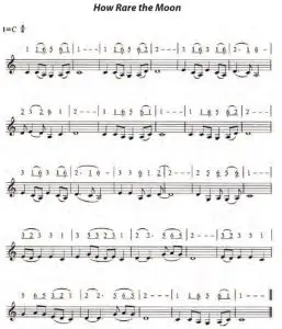 PYLE PSTLDRM78PU Professional Steel Tongue Drum-How Rare the Moon