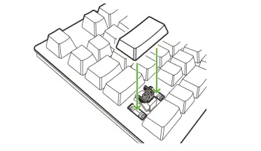 replace keycaps on a Razer keyboard
