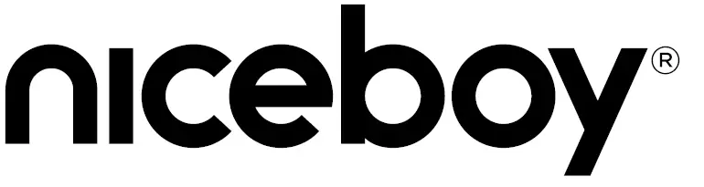 niceboy