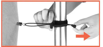 Raya BGC-12 Background Clips FIG 3