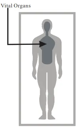 JOYTECH DET 1015b Infrared Ear Thermometer- Figure 1