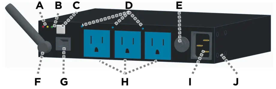 BIG DOG PR W3PI Power Distribution - Anatomy
