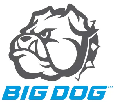 BIG DOG logo