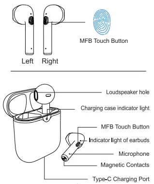 Soundcore-P2-True-Wireless-Earbuds-FIG-1