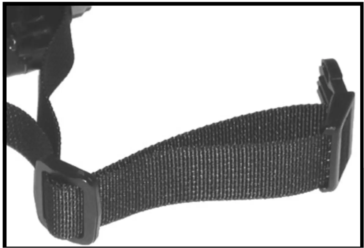 D T Systems BARK BOSS No Bark Training Collar 02