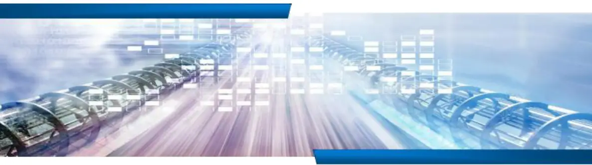 THLB ebike 28 Lithium ion Battery Pack