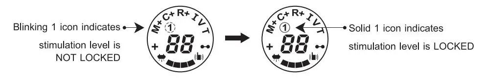 Ecollar PE 900 Pro Educator - Fig 12
