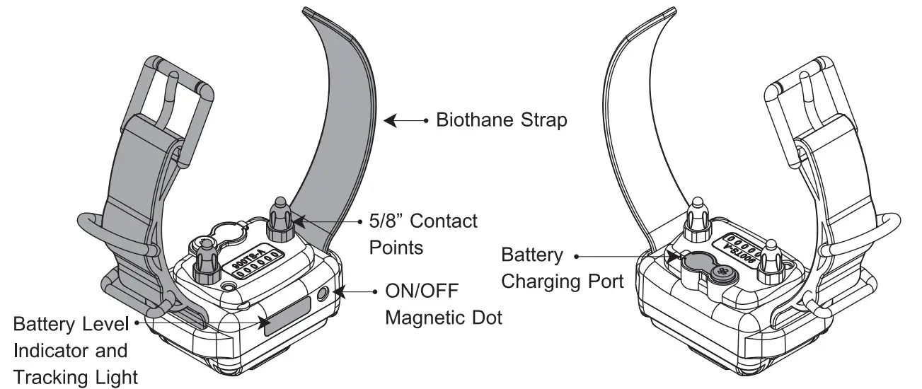 Ecollar PE 900 Pro Educator - Fig 2