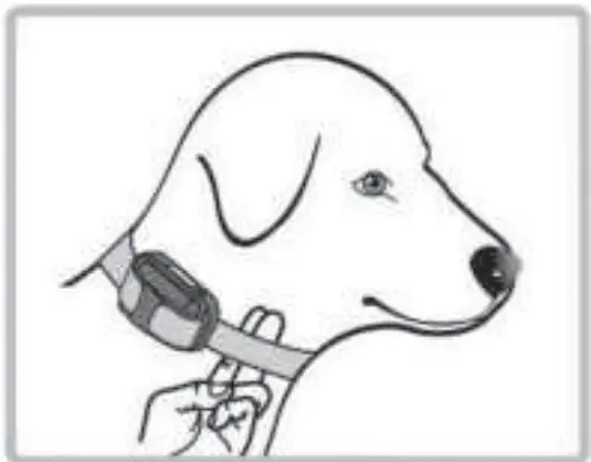 Ecollar PE 900 Pro Educator - Fig 9