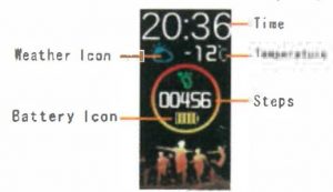 FIG 3 Main interface