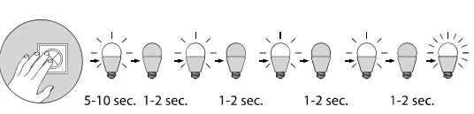 Paul-Neuhaus-6579-95-Q-KATE-Ceiling-Light-LED-fig-8