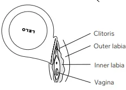 LELO-Sila-Sonic-Clitoral-Massager-fig3