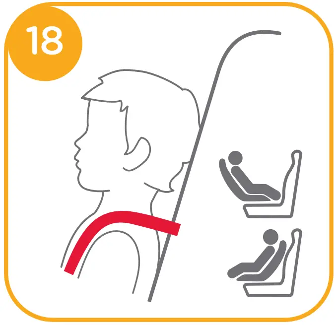 Height Adjustment for Head Support and Shoulder Harnesses