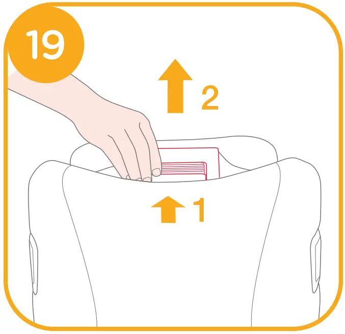 Height Adjustment for Head Support and Shoulder Harnesses