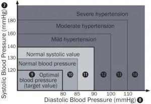 BPW 300 - Blood pressure indicator chart
