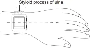 BPW 300 - Wear the device 2